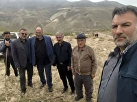 آغاز طرح خرید مستقیم دام در اردبیل با شرایط پرداخت تضمینی
